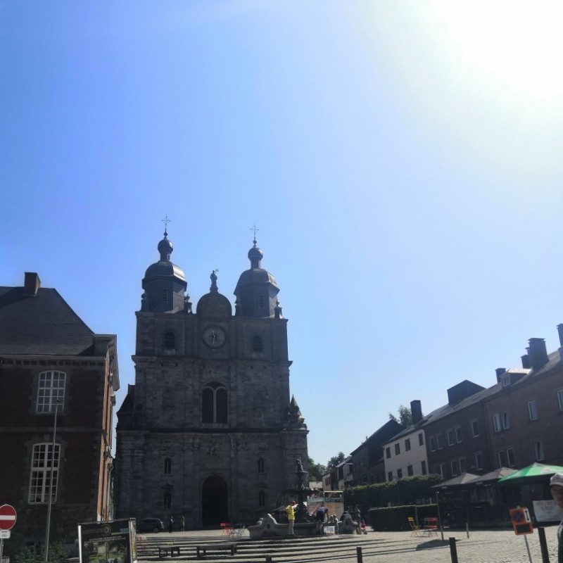 wolven groepskamp 2019